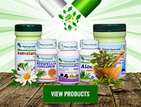 Planet Ayurveda Products